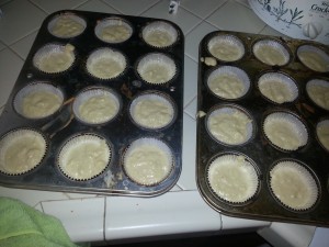 Soylent Muffins ready to bake