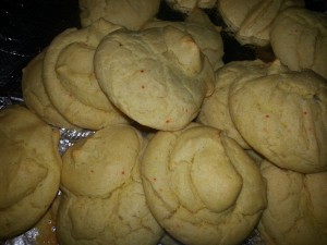 Close up of the soylent cookies