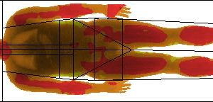 heat map of body