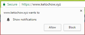 www.ketochow.xyz wants to show notifications. Allow or block.