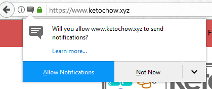 Will you allow www.ketochow.xyz to send notifications? Click Allow notifications.