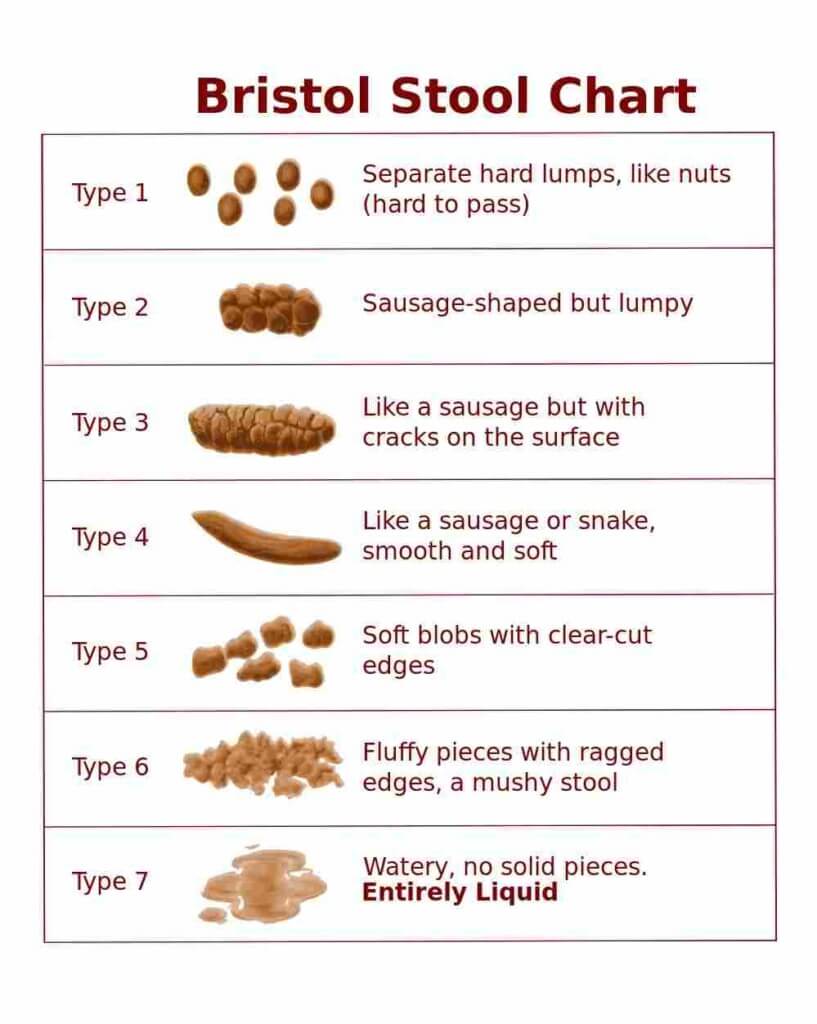 Bristol Stool Chart NPR