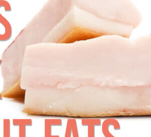 lets talk about fats. cooking tips with taffy