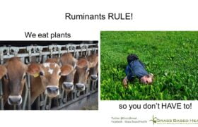 ruminants rule! we (the cows) eat plants so you (the humans) don't have to
