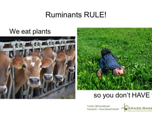 ruminants rule! we (the cows) eat plants so you (the humans) don't have to