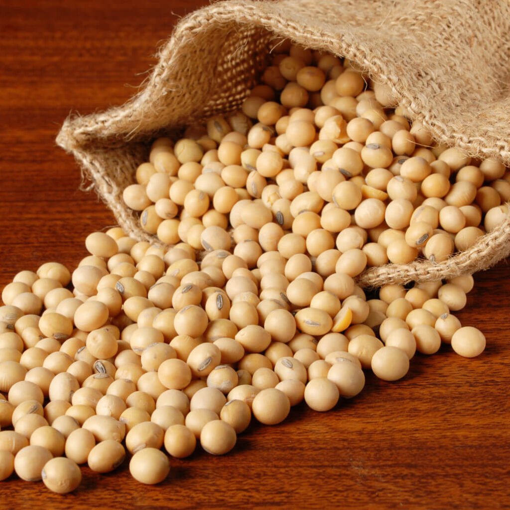 soybeans