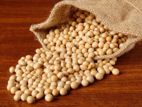 soybeans