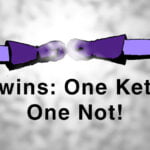 twins: one keto one not!