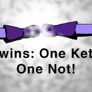 twins: one keto one not!