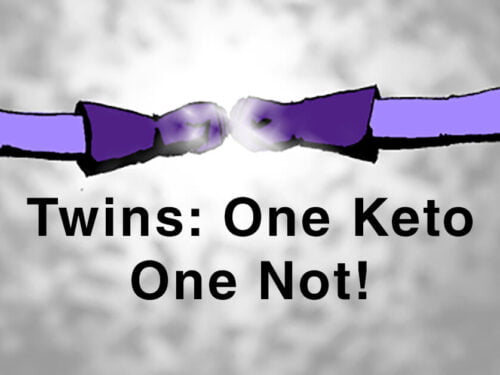 twins: one keto one not!