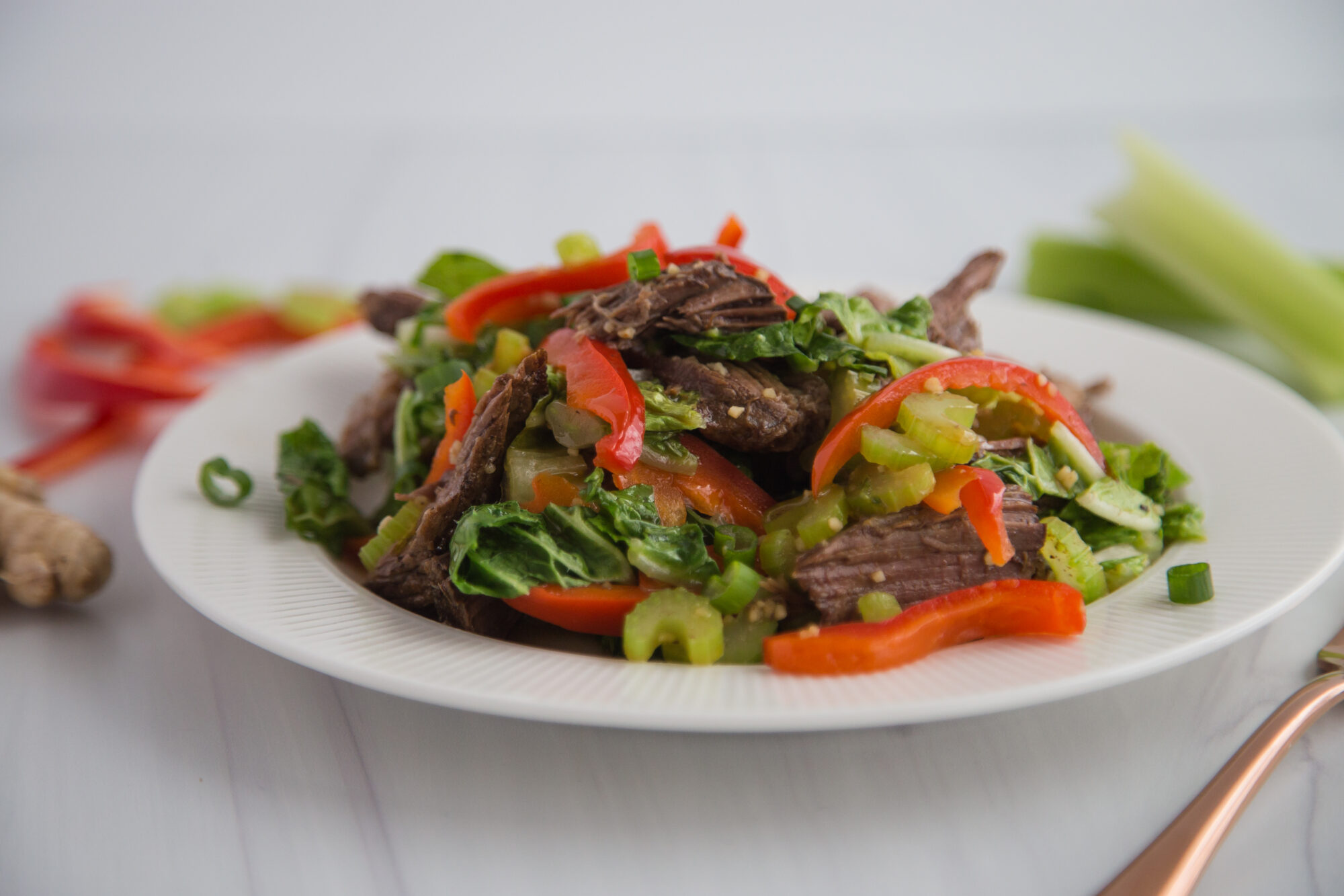 Close up of sliced beef, red peppers, celery and other veggies on a white plate