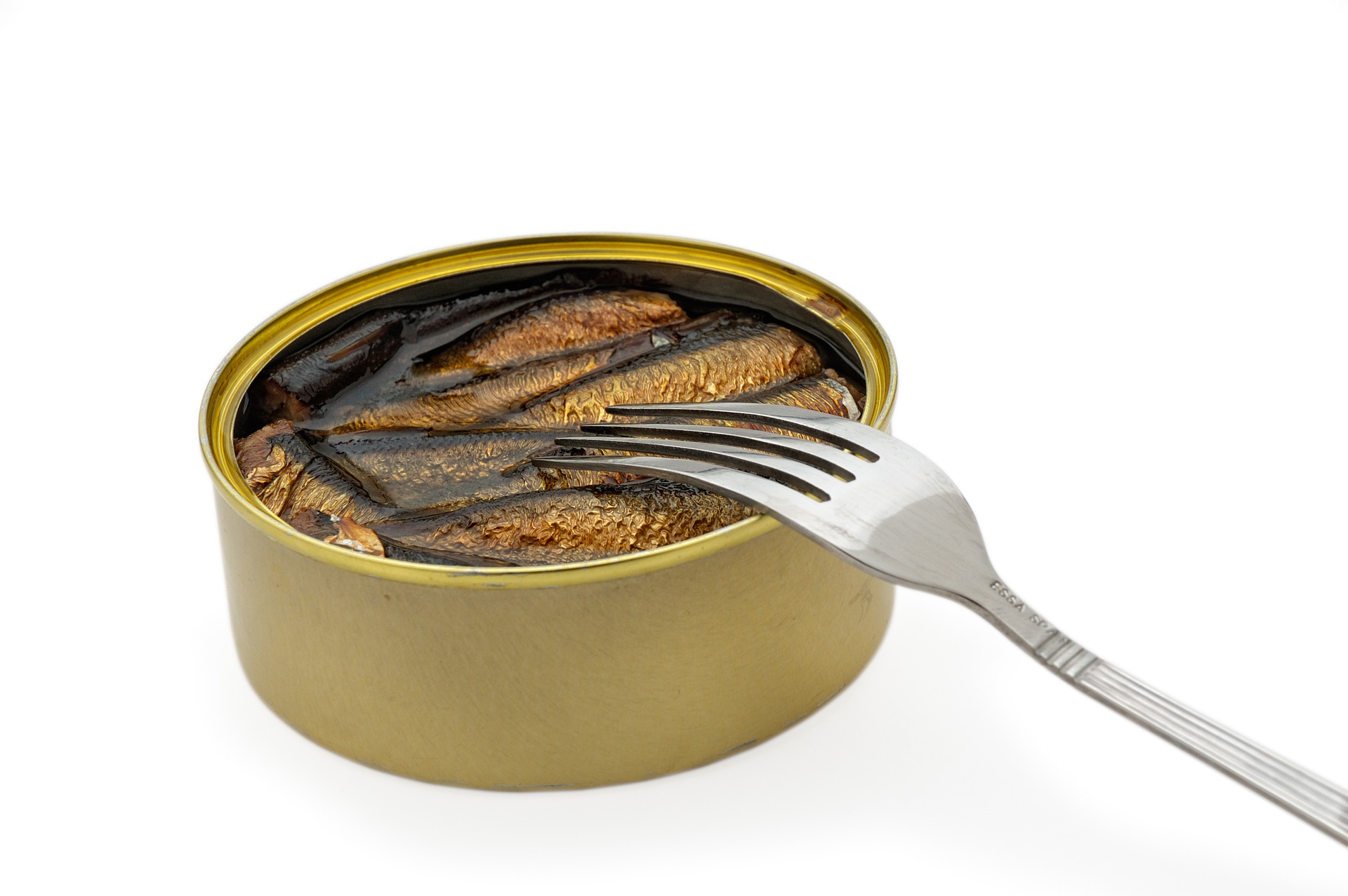 canned anchovies