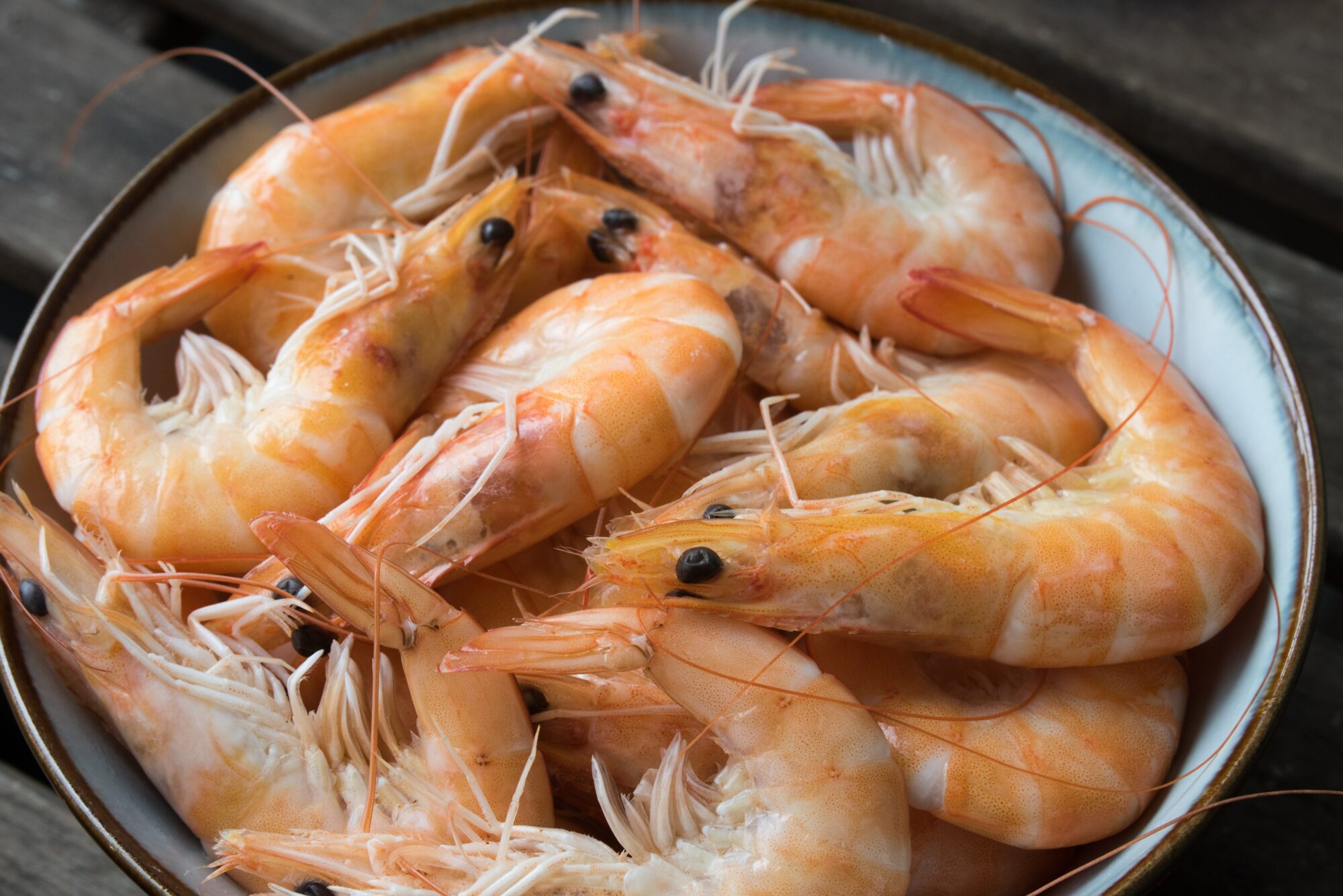 shrimp in bowl