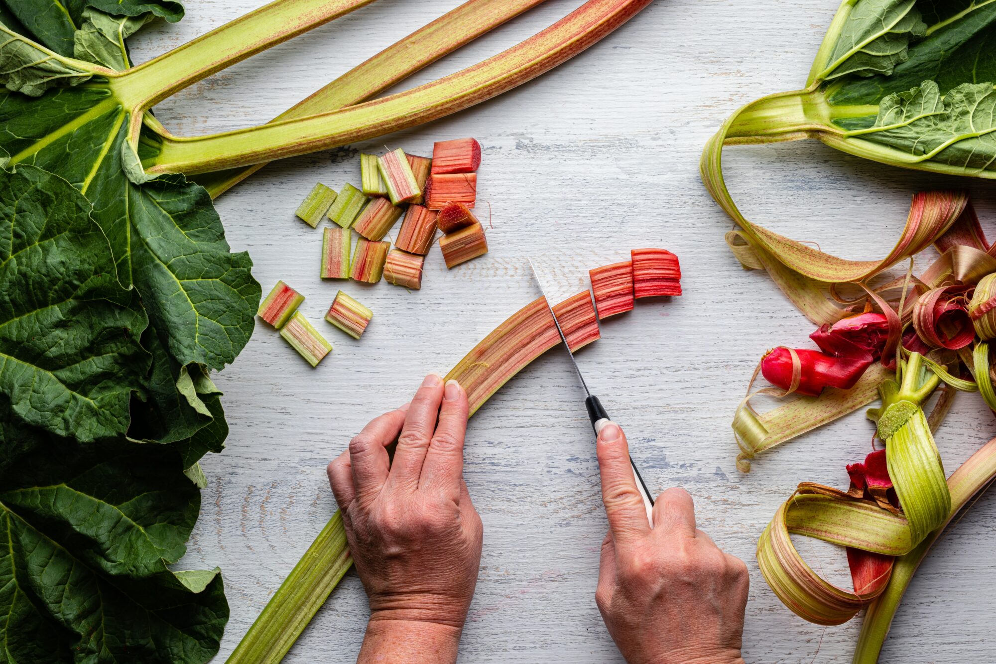 cutting rhubarb