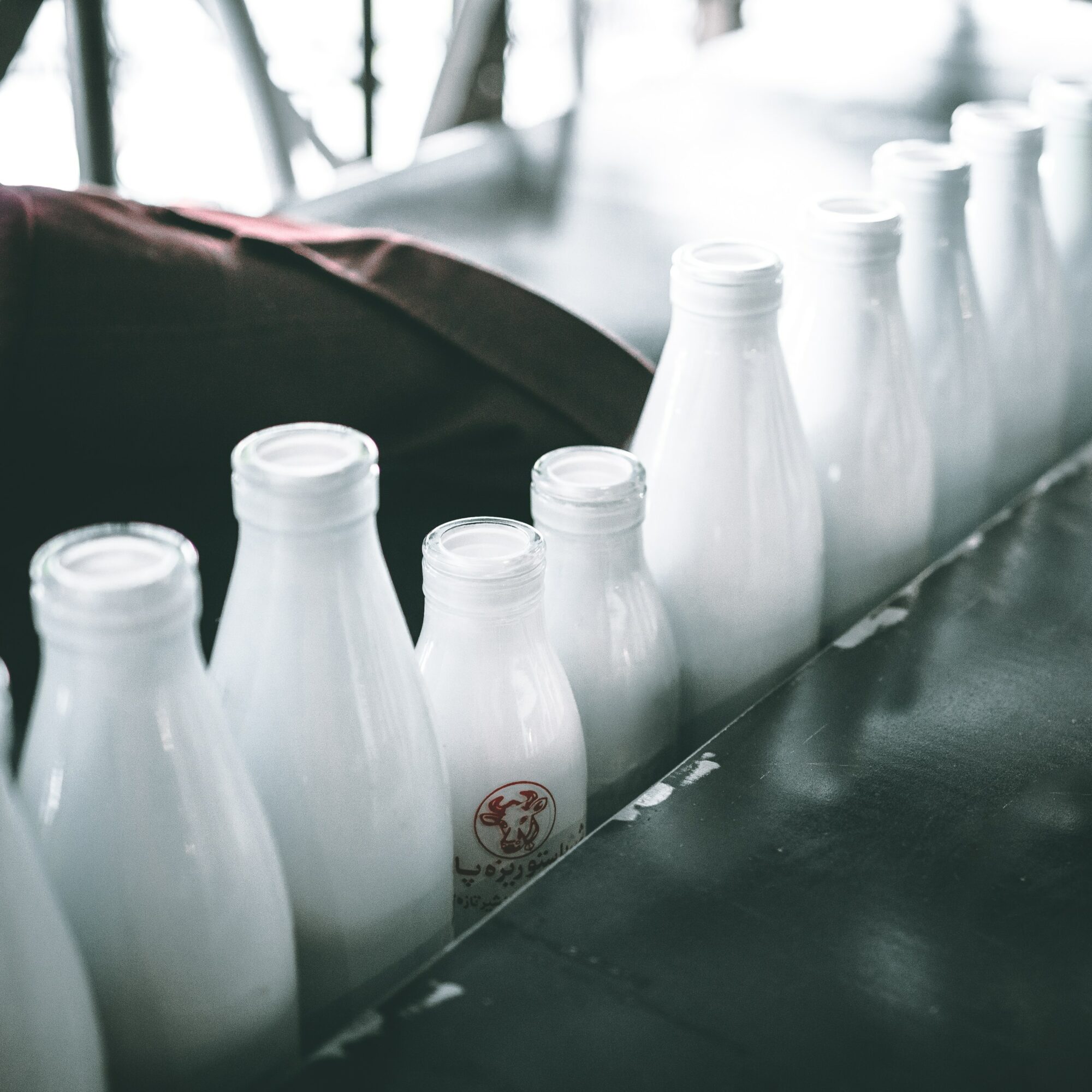 milk in jars