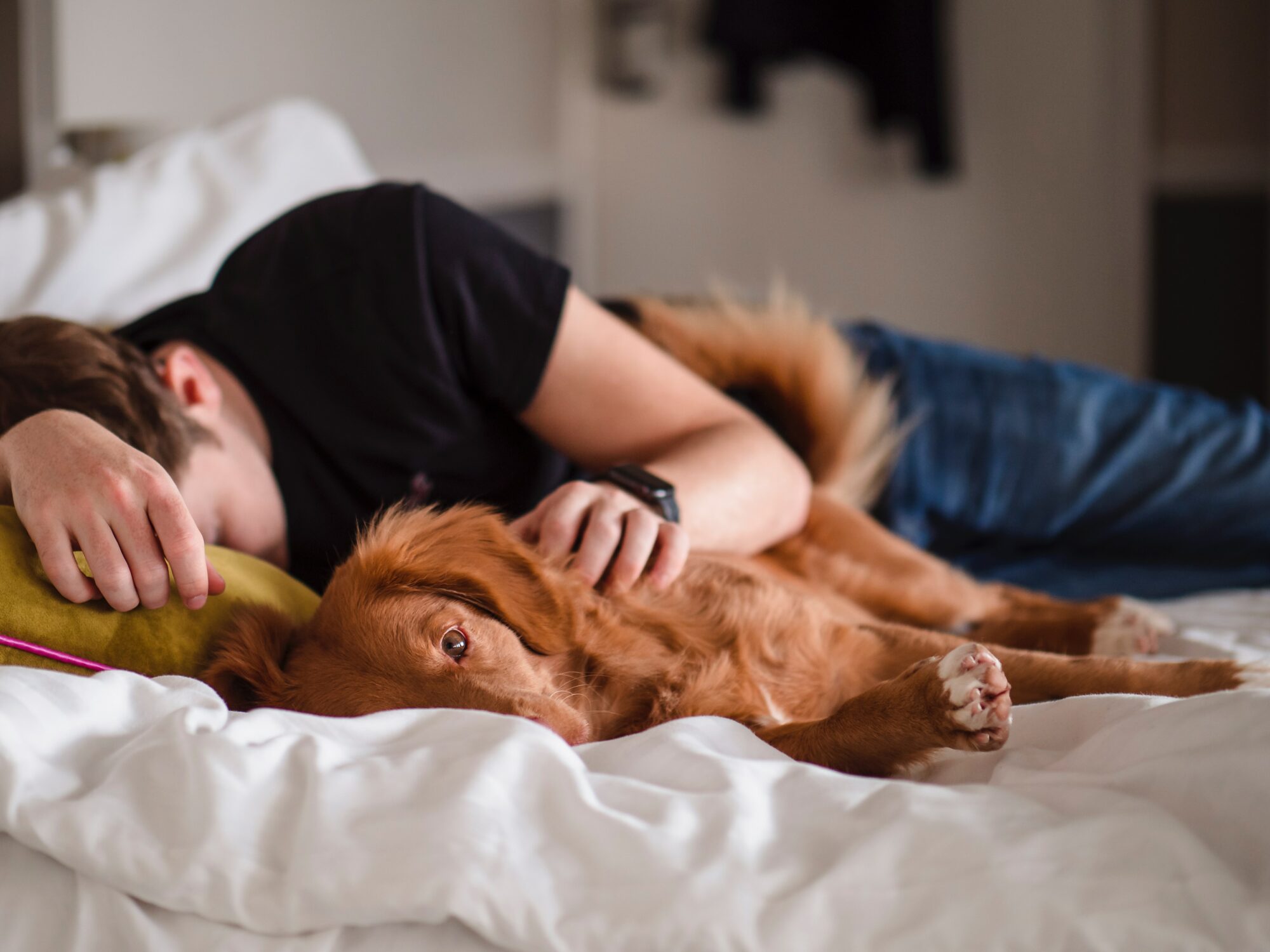 man and dog sleeping on bed