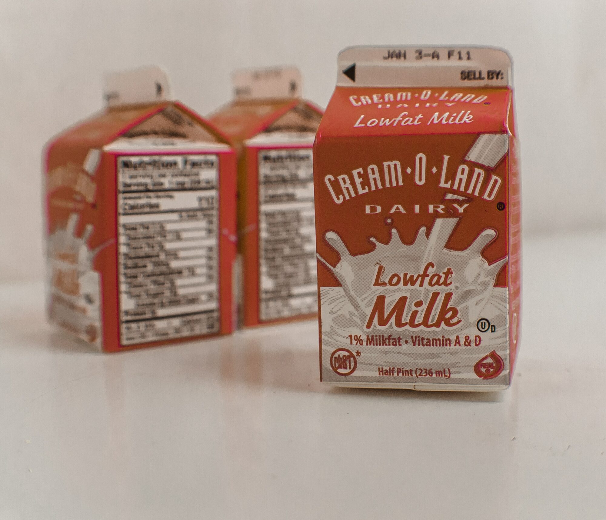 dairy lowfat milk