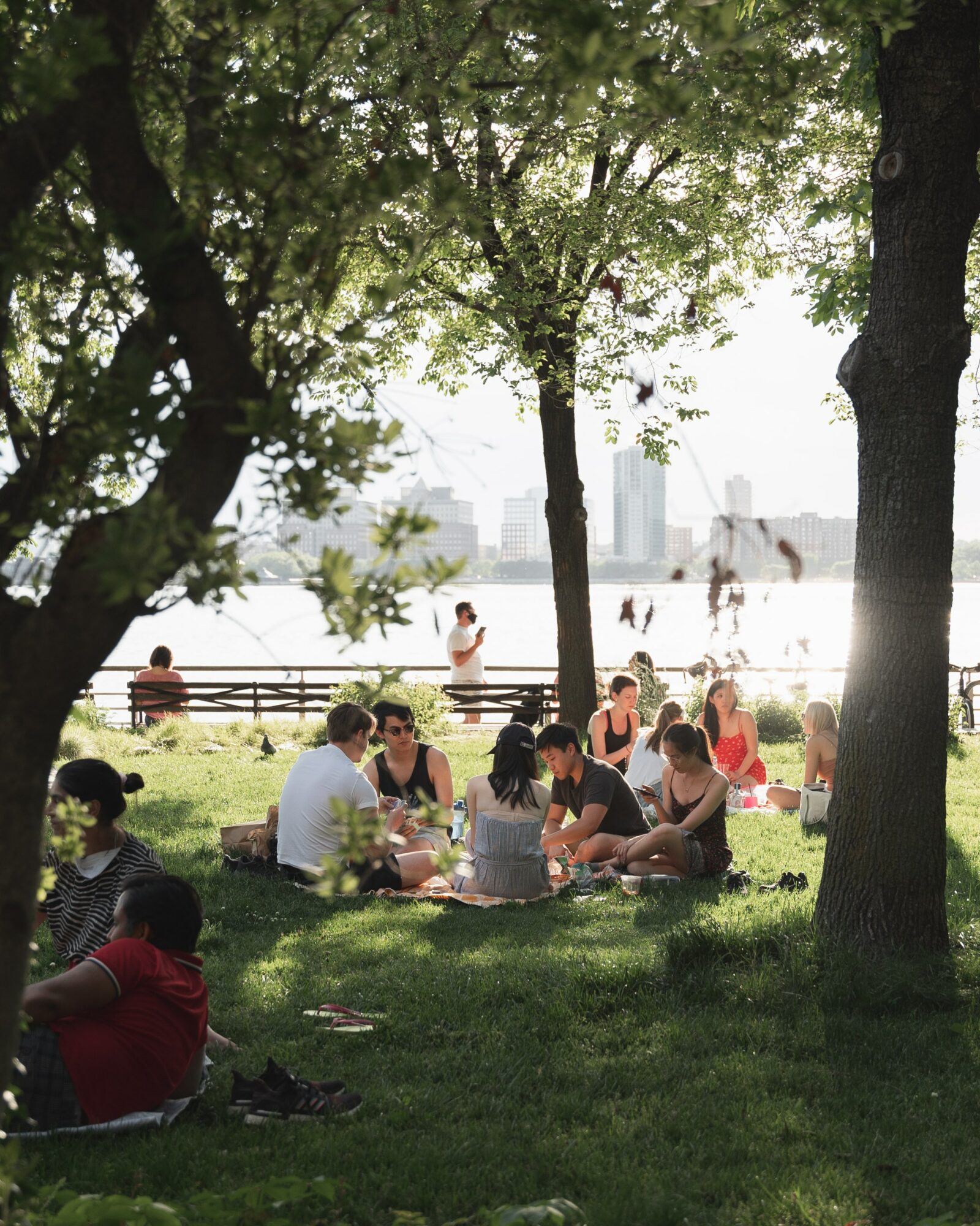 people having a picnic