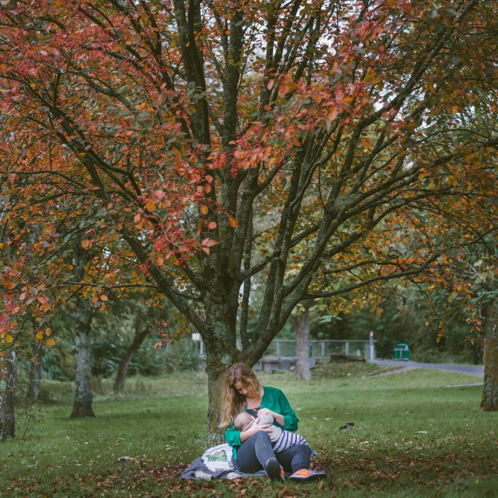 woman breastfeeding in park