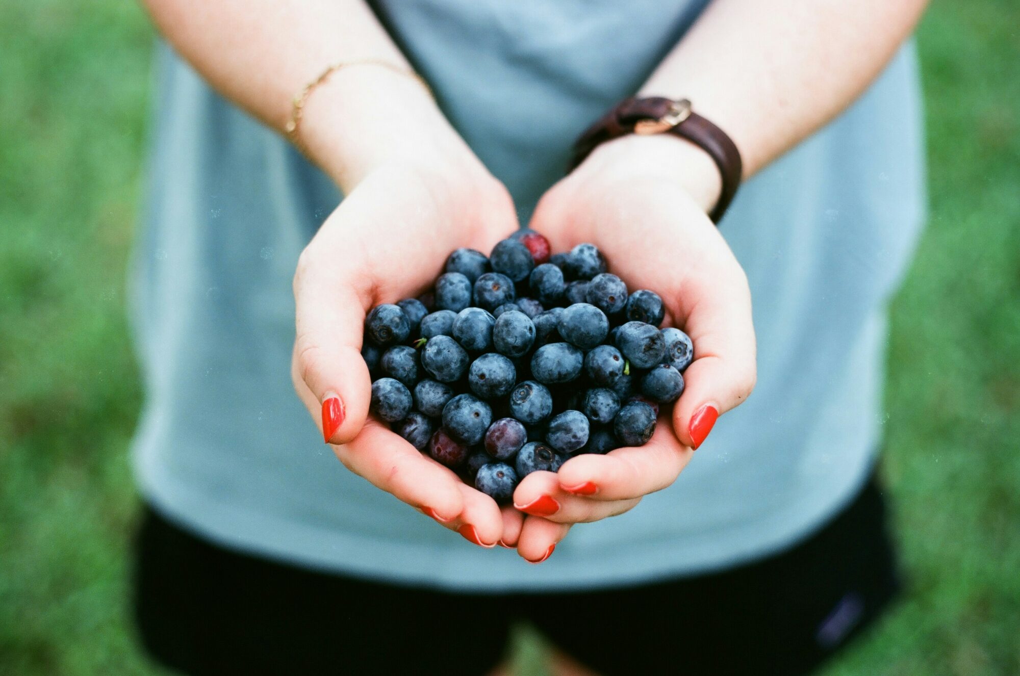 person holding blueberries